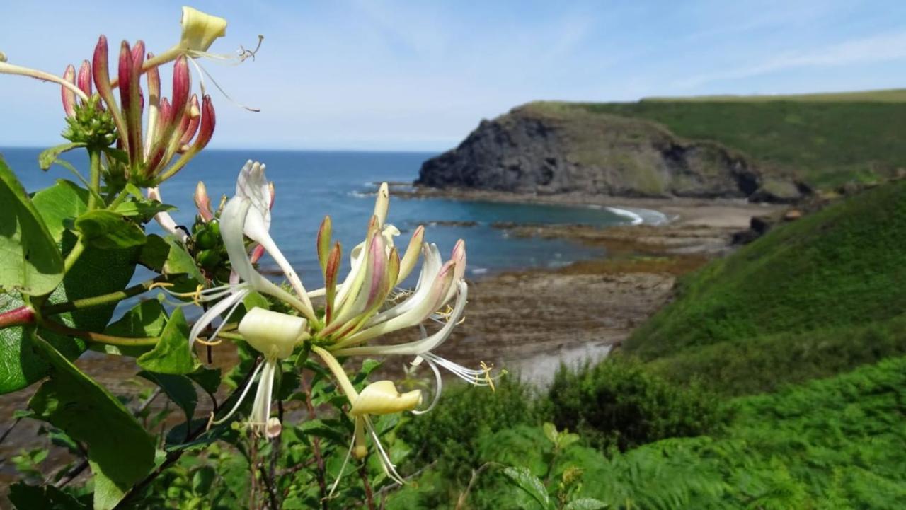 Chalet 18 Widemouth Bay Village Bude